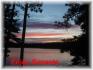 134 Eels Ridpath Island, Apsley Ontario
