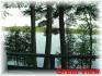 spence road, Apsley Ontario, Canada
