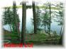 Spence Road, Apsley Ontario