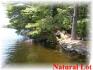 Fr 87a, Apsley Ontario