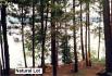 21  Pine Point  Rd, North Kawartha Ontario
