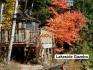 3 Mcconnell Lane, Apsley Ontario