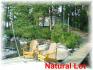 492 Island 13 A, Apsley Ontario