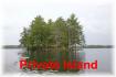492 Island 13 A, Apsley Ontario
