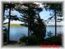 235 Gazelle Trail, Apsley Ontario