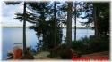 235 Gazelle Trail, Apsley Ontario