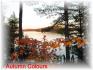 235 Gazelle Trail, Apsley Ontario