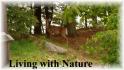 235 Gazelle Trail, Apsley Ontario
