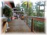 235 Gazelle Trail, Apsley Ontario