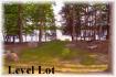431 Whitetail Dr, Apsley Ontario