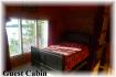 #17 Island # 8 Jack Lake, Apsley Ontario