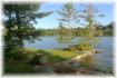 #17 Island # 8 Jack Lake, Apsley Ontario