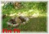 178 Blue Herron Rd, Apsley Ontario