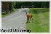 Moffat Road, Apsley Ontario