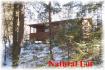 107 Loon Echo Lane, Apsley Ontario