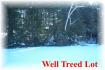 107 Loon Echo Lane, Apsley Ontario