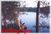785 Island #21, Apsley Ontario