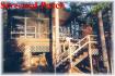 785 Island #21, Apsley Ontario