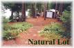 785 Island #21, Apsley Ontario