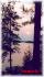 785 Island #21, Apsley Ontario
