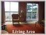 Fitch Lane, Apsley Ontario