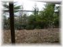 Fitch Lane, Apsley Ontario