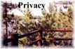 1234 County Road 504, Apsley Ontario