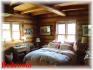 1234 County Road 504, Apsley Ontario