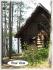 1234 County Road 504, Apsley Ontario