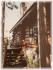 1234 County Road 504, Apsley Ontario