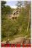 494 renwick road, Apsley Ontario, Canada