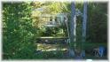County Road 504, Apsley Ontario