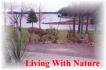 151 fr 87, Apsley Ontario, Canada