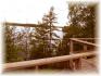 Standish Lane, Apsley Ontario