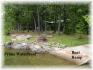 Walkes Road, Apsley Ontario