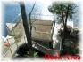 1122 Campbell Lane, Apsley Ontario