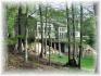 1122 Campbell Lane, Apsley Ontario