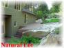 1122 Campbell Lane, Apsley Ontario