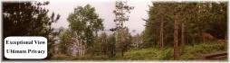 Brock Road, Apsley Ontario