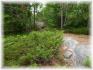 Brock Road, Apsley Ontario