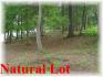 845 Island 29 Jack Lake, Apsley Ontario