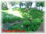 845 Island 29 Jack Lake, Apsley Ontario