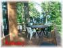 845 Island 29 Jack Lake, Apsley Ontario