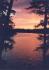 845 Island 29 Jack Lake, Apsley Ontario