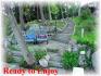 41 Fire Route 50b, Apsley Ontario
