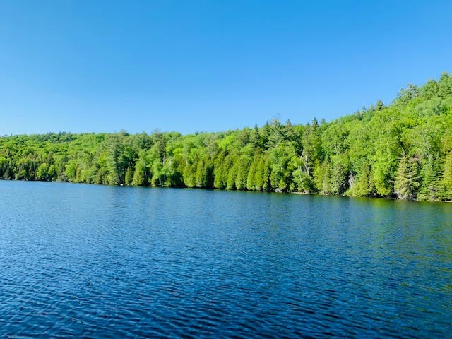 North/East Shore Grace Lake, Wilberforce Ontario, Canada