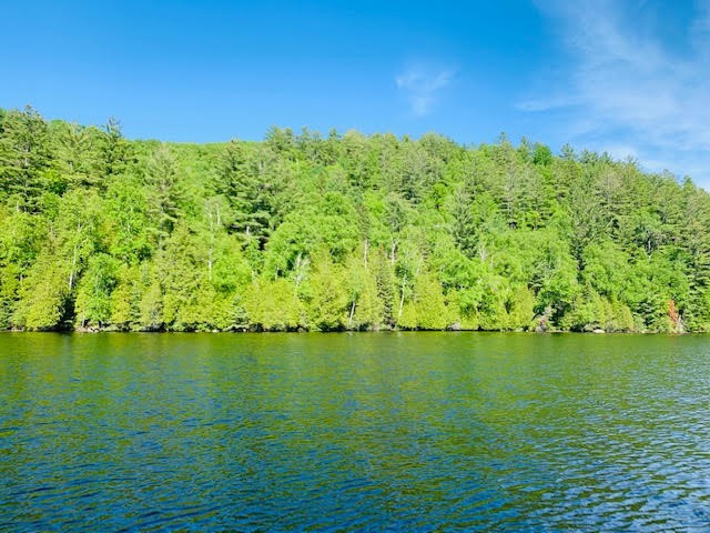 North/East Shore Grace Lake, Wilberforce Ontario, Canada