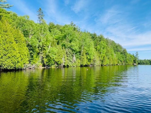North/East Shore Grace Lake, Wilberforce Ontario, Canada