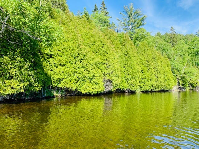 North/East Shore Grace Lake, Wilberforce Ontario, Canada