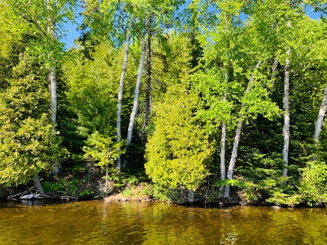 North/East Shore Grace Lake, Wilberforce Ontario, Canada